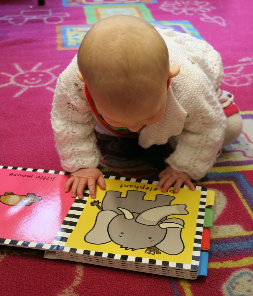 a baby reading a book