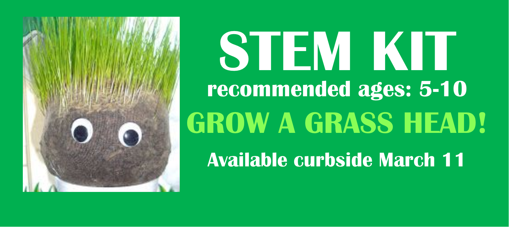 grass head STEM kit image