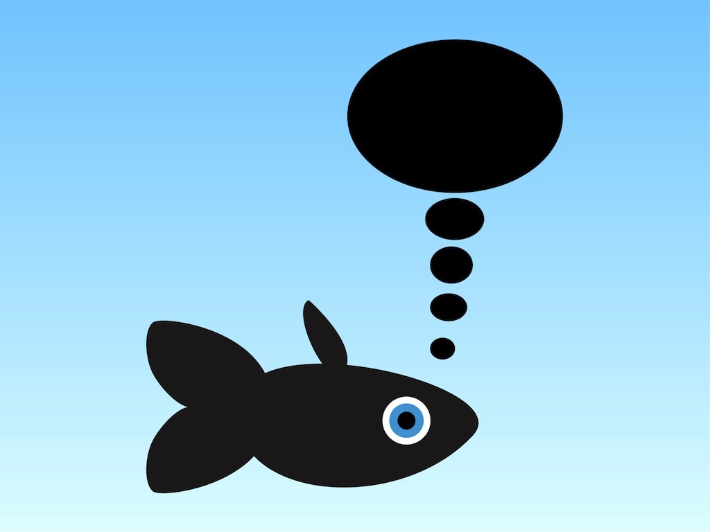 fish with thought bubbles