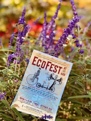 EcoFest at the Bartlett Arboretum 