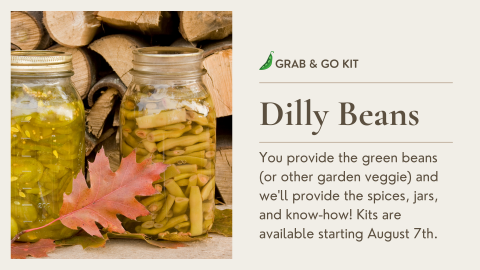 Dilly Beans