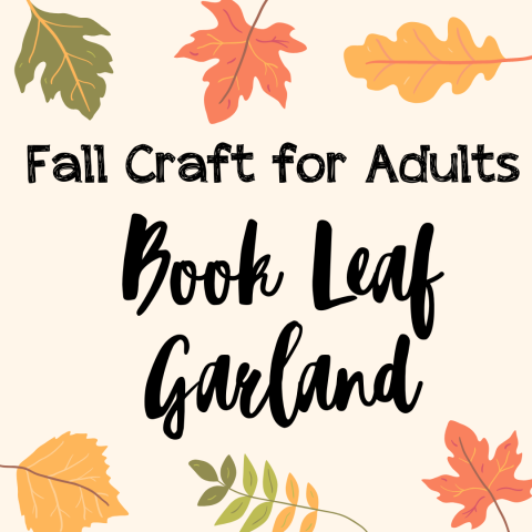 Nov adult craft