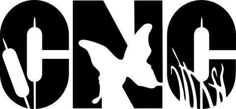 Chaplin nature center logo, letters cnc with silhouettes of cattails and butterflies within the letters