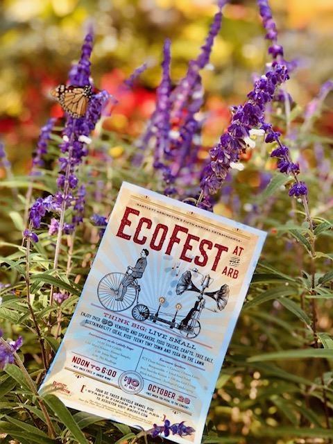 EcoFest at the Bartlett Arboretum 