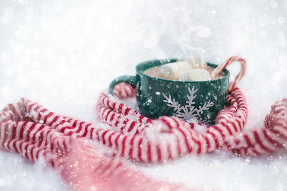 a cup of cocoa with marshmallows 