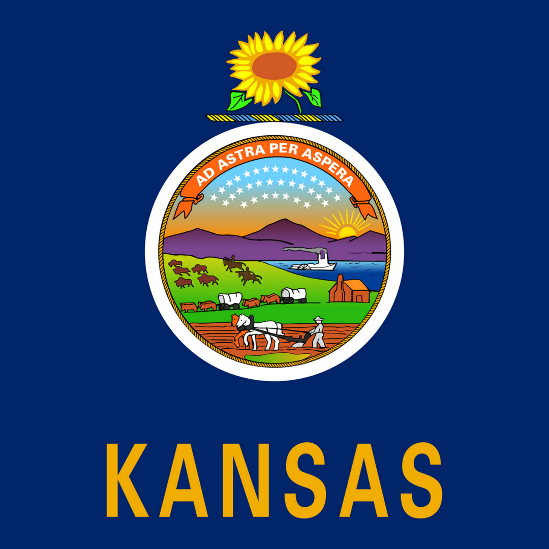 Image of the Kansas state flag:  a yellow sunflower atop the state seal that features a farmer plowing, covered wagons and oxen, buffalo, and the state motto "ad astra per aspera"