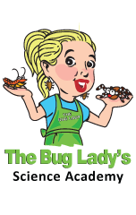 The Bug Lady logo